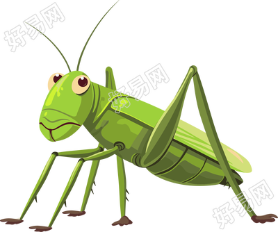 蟋蟀高清插画