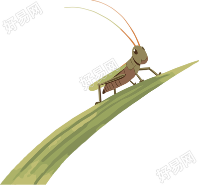 蟋蟀卡通插画
