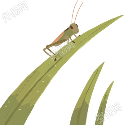 蟋蟀PNG插画素材