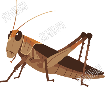 蟋蟀透明背景插画
