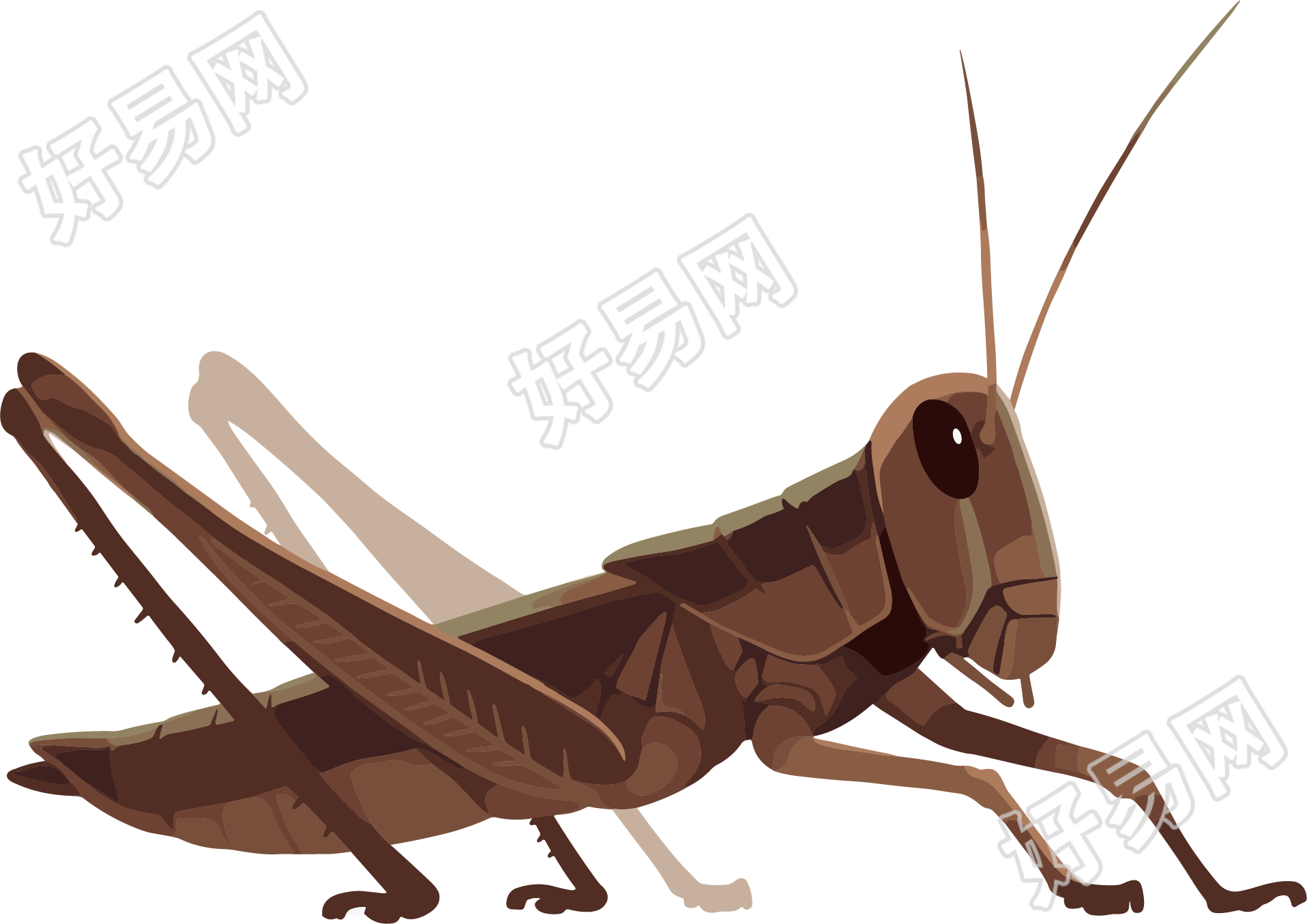 蟋蟀可商用元素