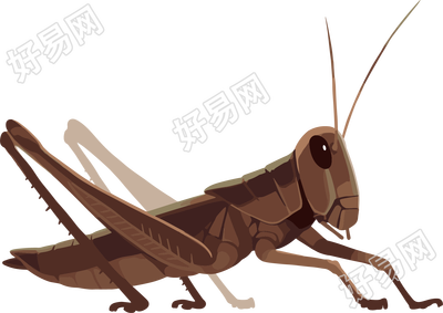 蟋蟀可商用元素