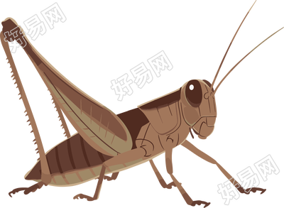 蟋蟀高清图形素材