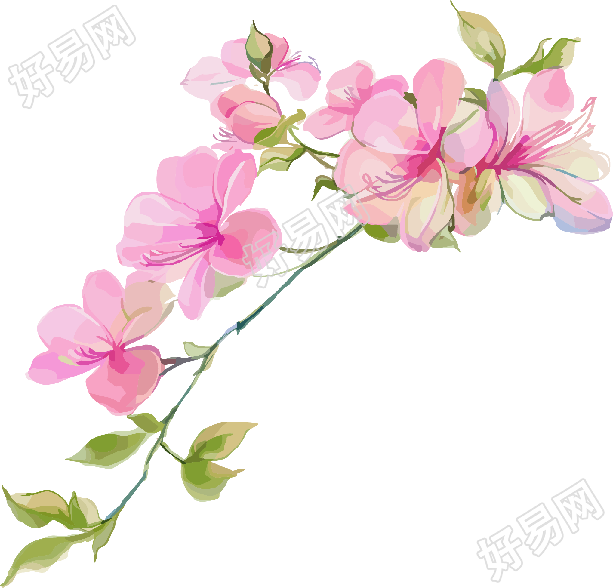 紫荆花商用元素