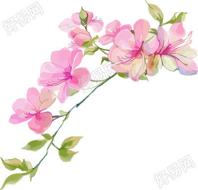 紫荆花商用元素