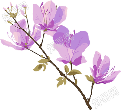 紫荆花创意设计插图