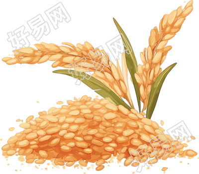 水稻插画素材