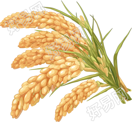 水稻卡通风格元素