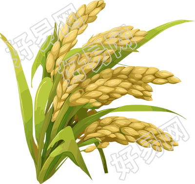 水稻卡通风格插画