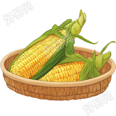 玉米透明背景素材