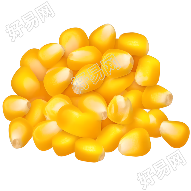 玉米粒矢量插图