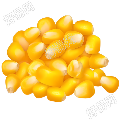 玉米粒矢量插图
