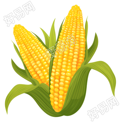 玉米创意插图