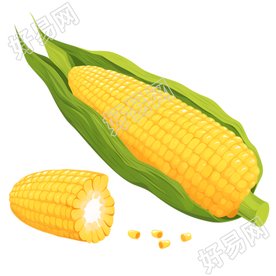 玉米图形素材