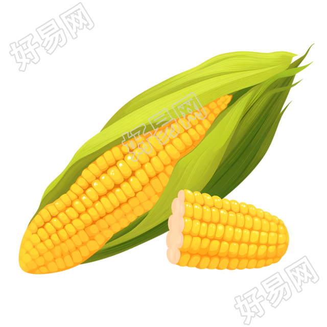 玉米矢量元素