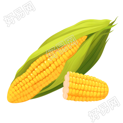 玉米矢量元素