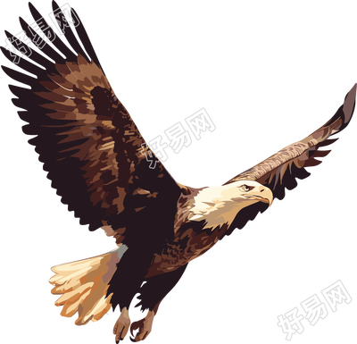 老鹰卡通插图素材