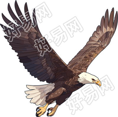老鹰商业素材