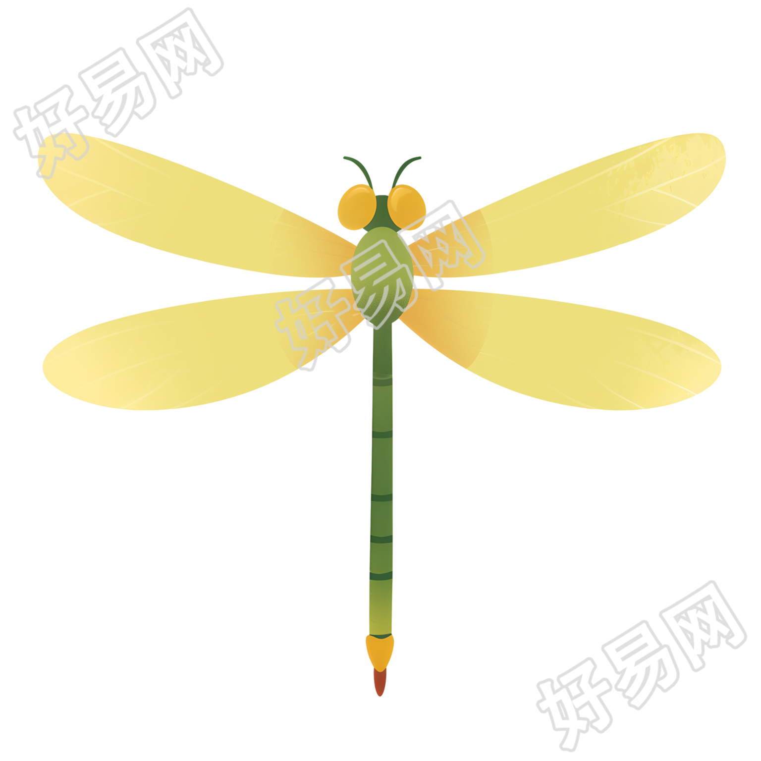 蜻蜓清新装饰元素