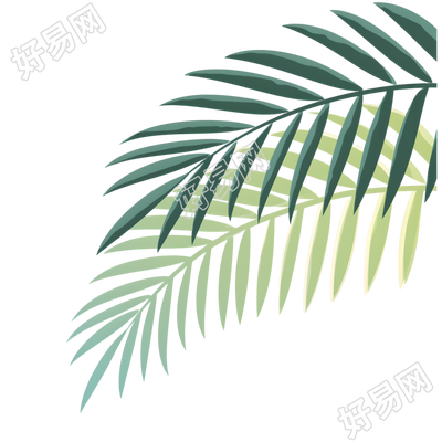 椰子树叶夏日清新插画