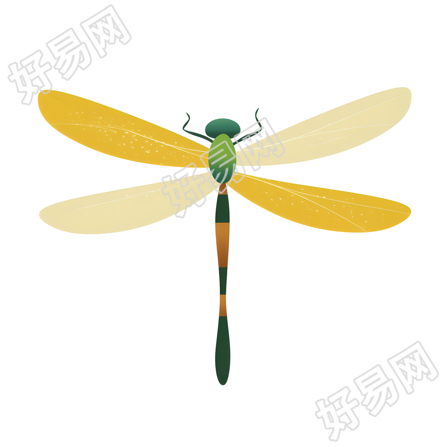 蜻蜓夏日清新元素