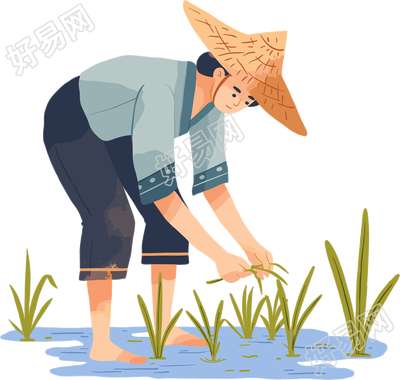 农民插秧素材