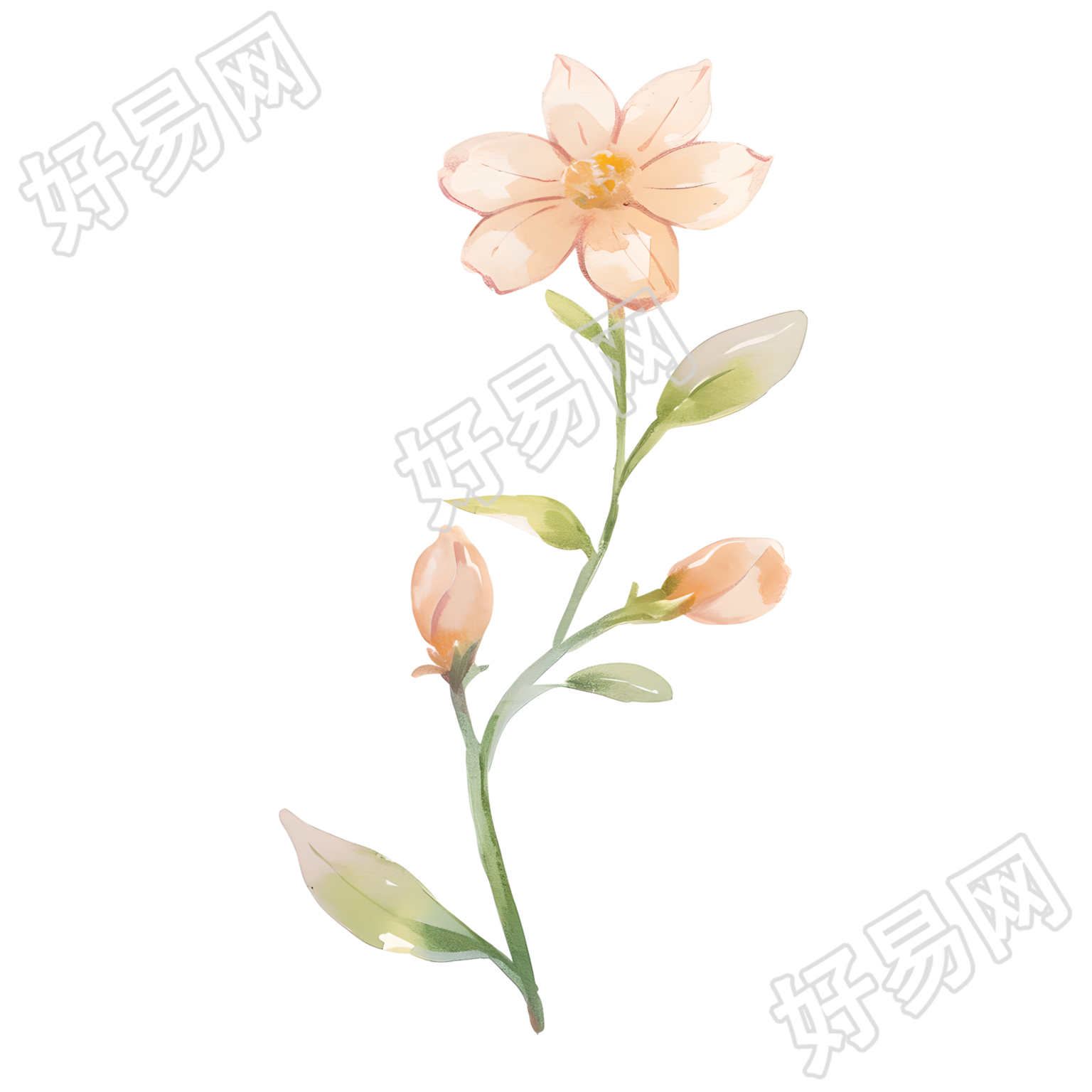 水彩植物粉色小花元素