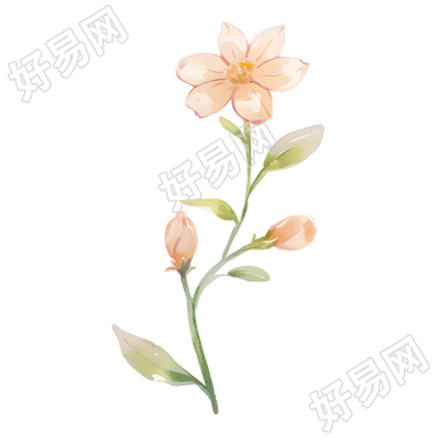 水彩植物粉色小花元素