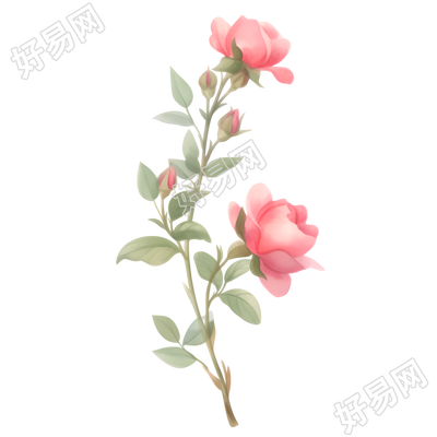 水彩植物玫瑰花唯美插图
