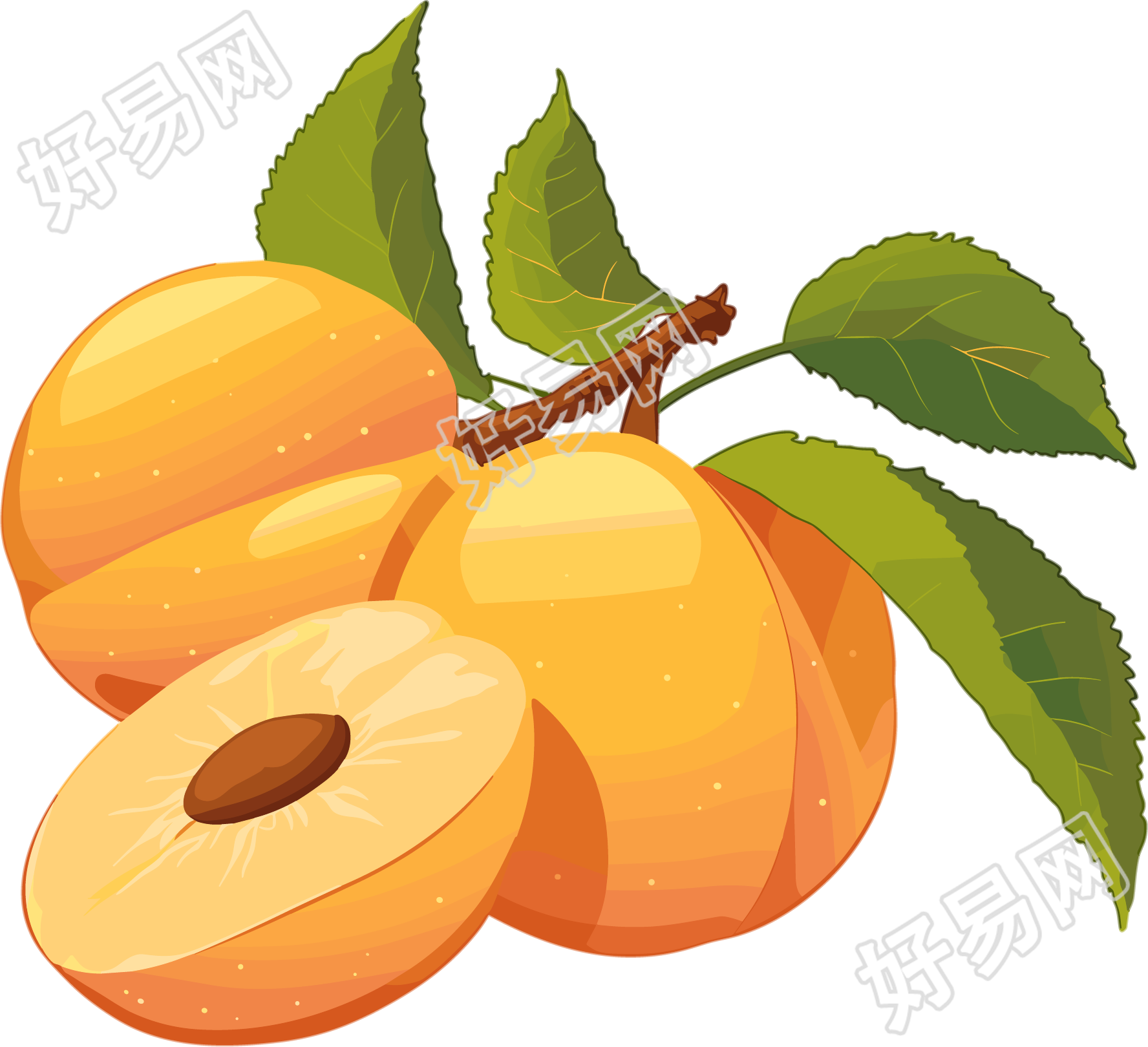 黄色杏子商用素材