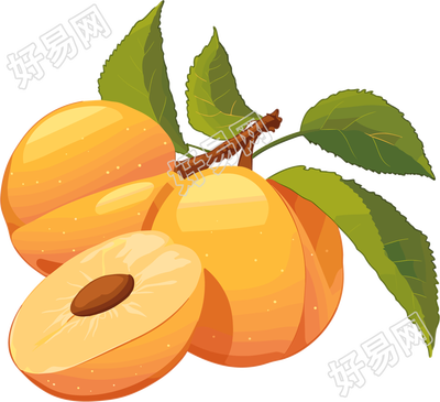黄色杏子商用素材
