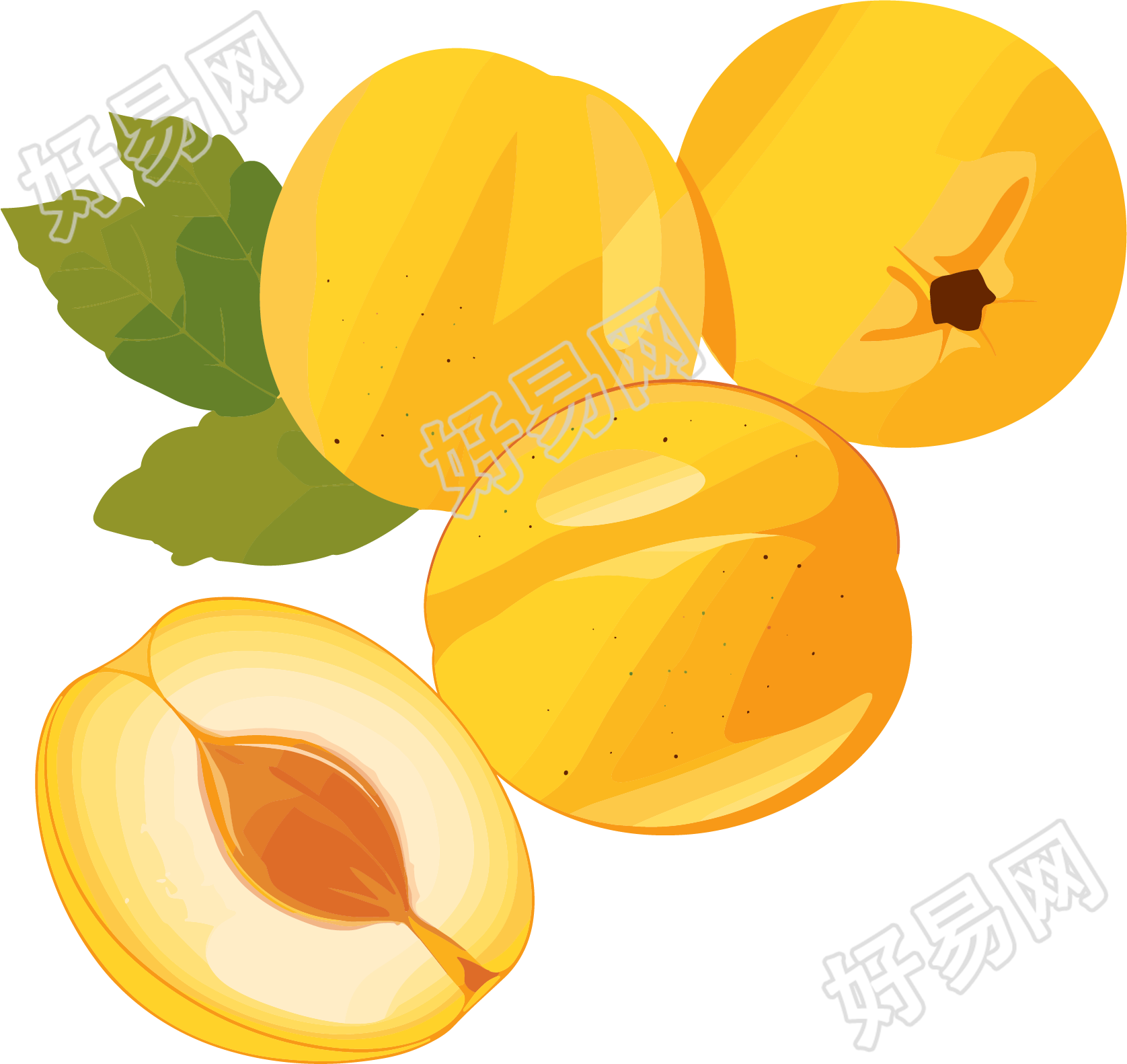 杏子高清插画