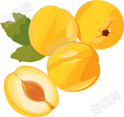 杏子高清插画