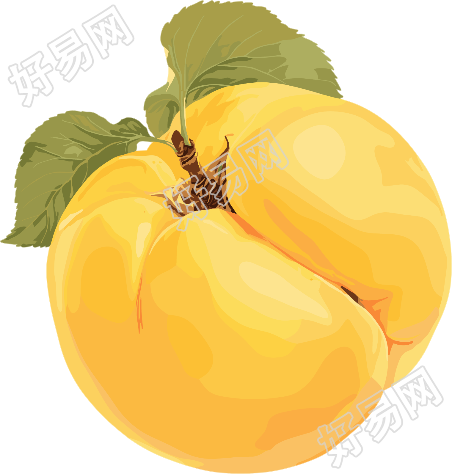 单颗杏子元素