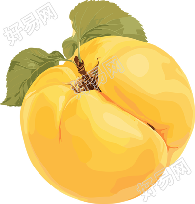 单颗杏子元素
