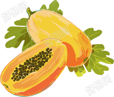 木瓜插图素材