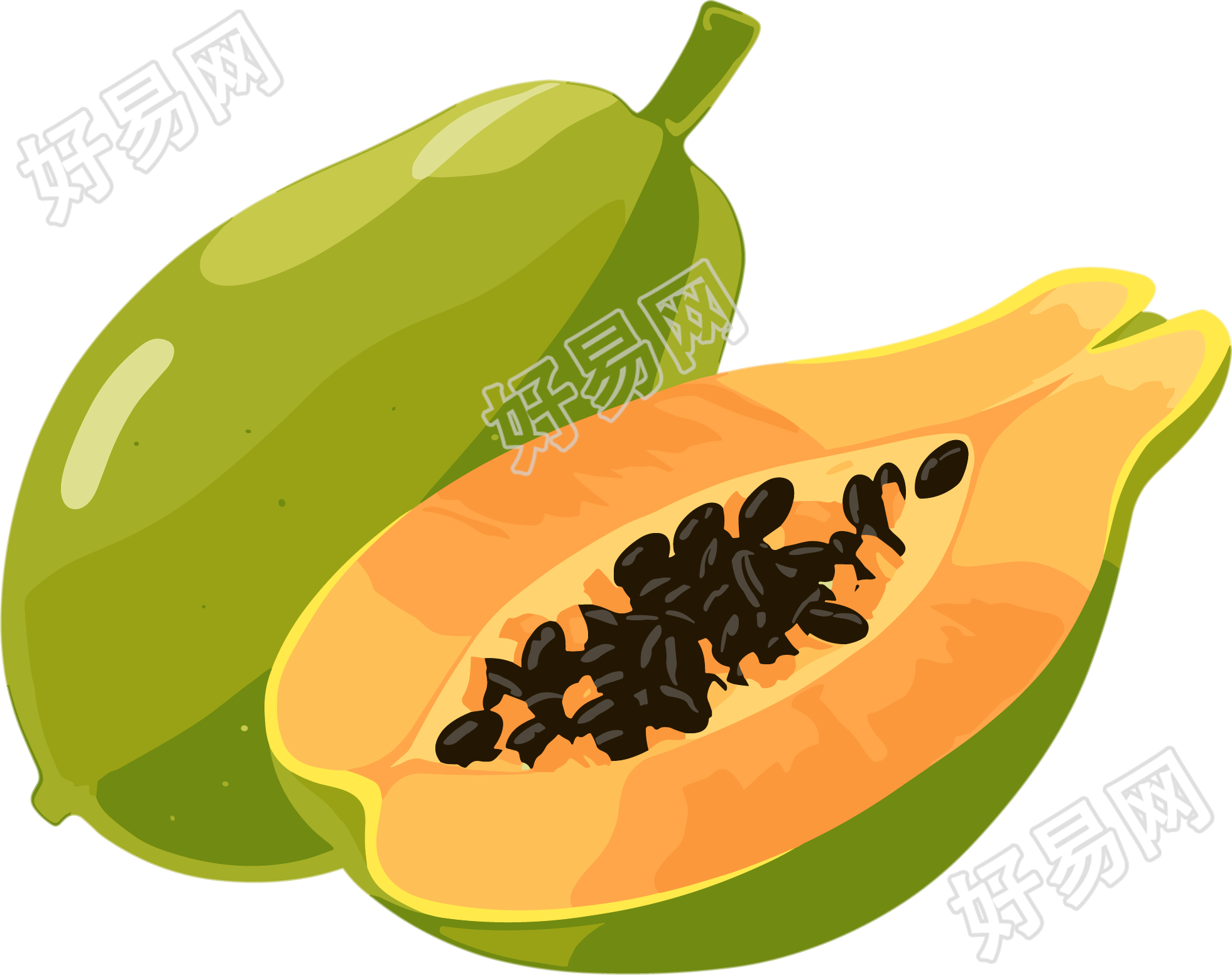 木瓜商业素材