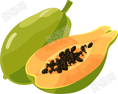 木瓜商业素材