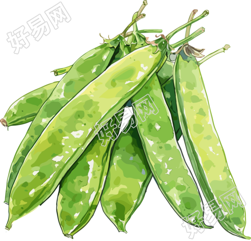 扁豆PNG元素插画