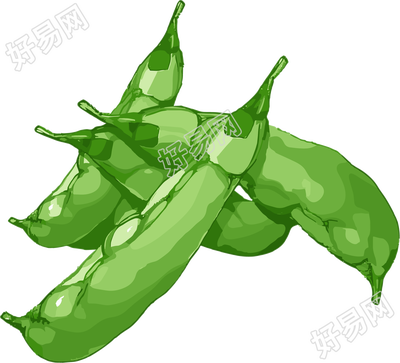 扁豆扁平插画