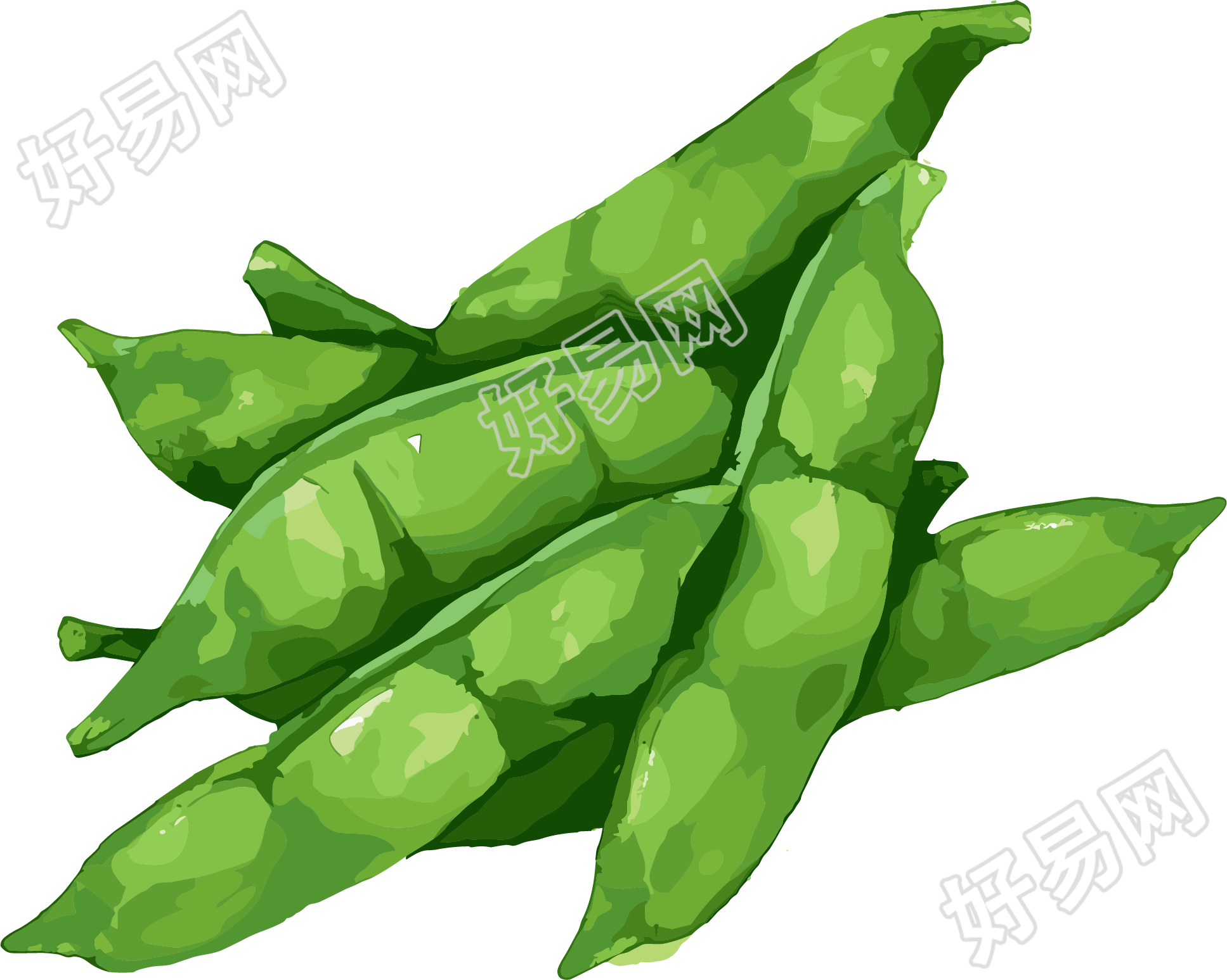 扁豆平面插画