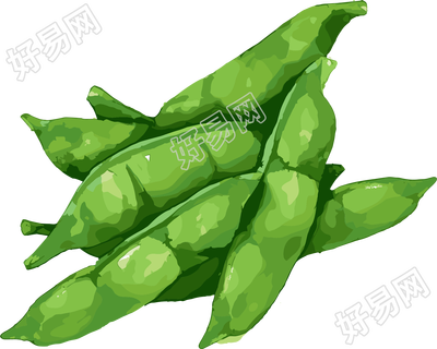 扁豆平面插画