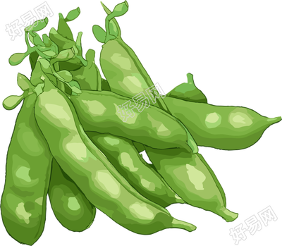 扁豆扁平插图