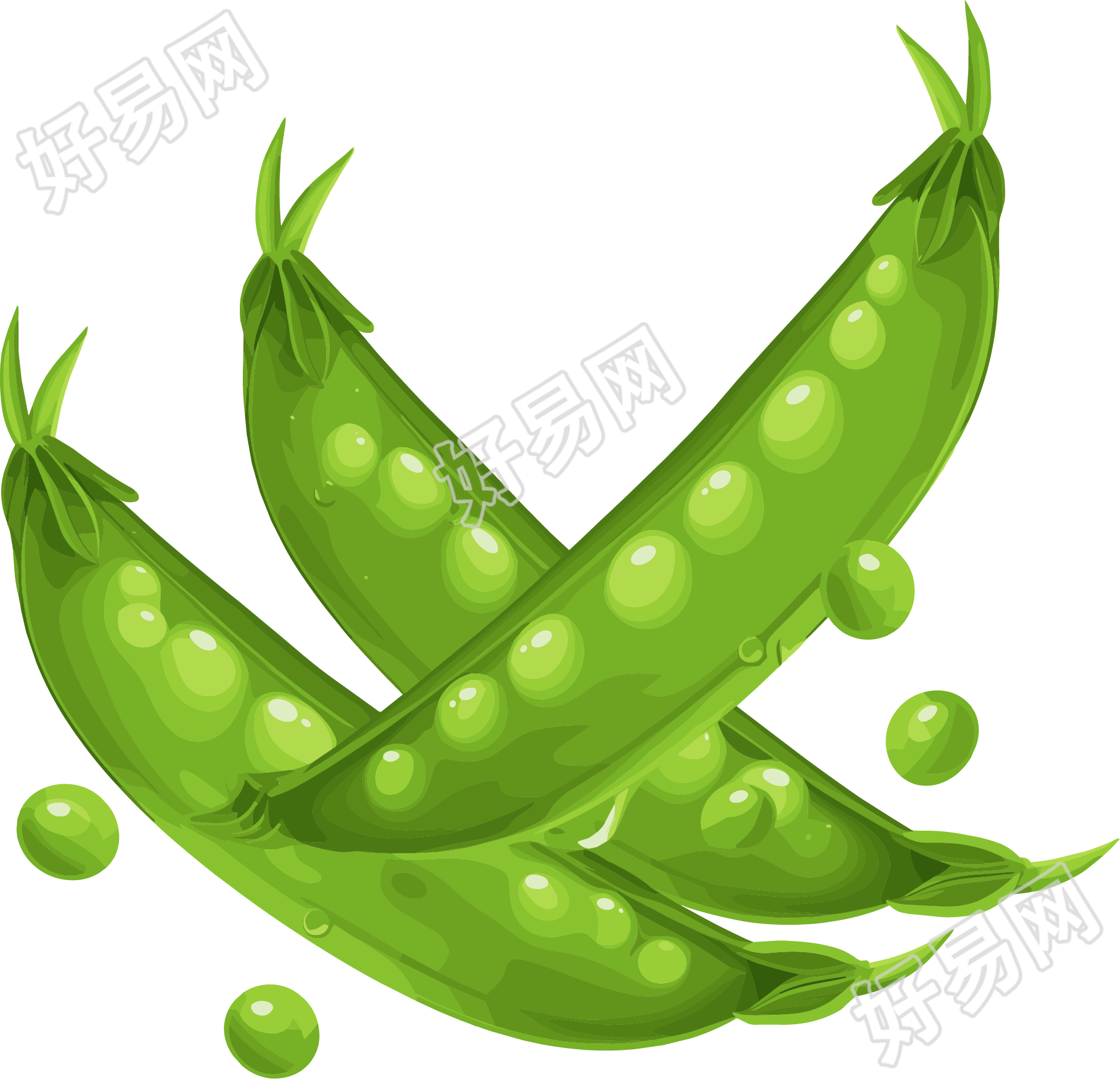扁豆创意设计素材