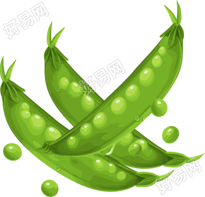 扁豆创意设计素材