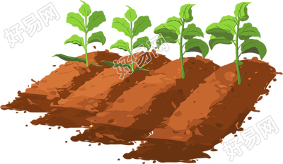 土地透明背景插画