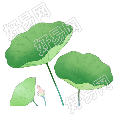 荷叶夏天PNG素材