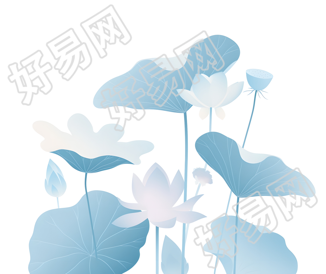 荷叶夏天插图