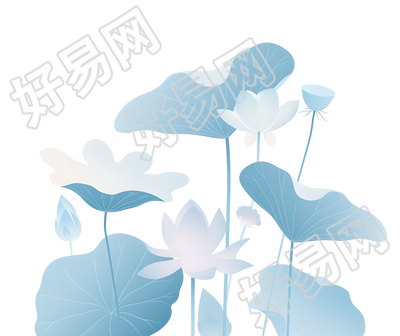 荷叶夏天插图