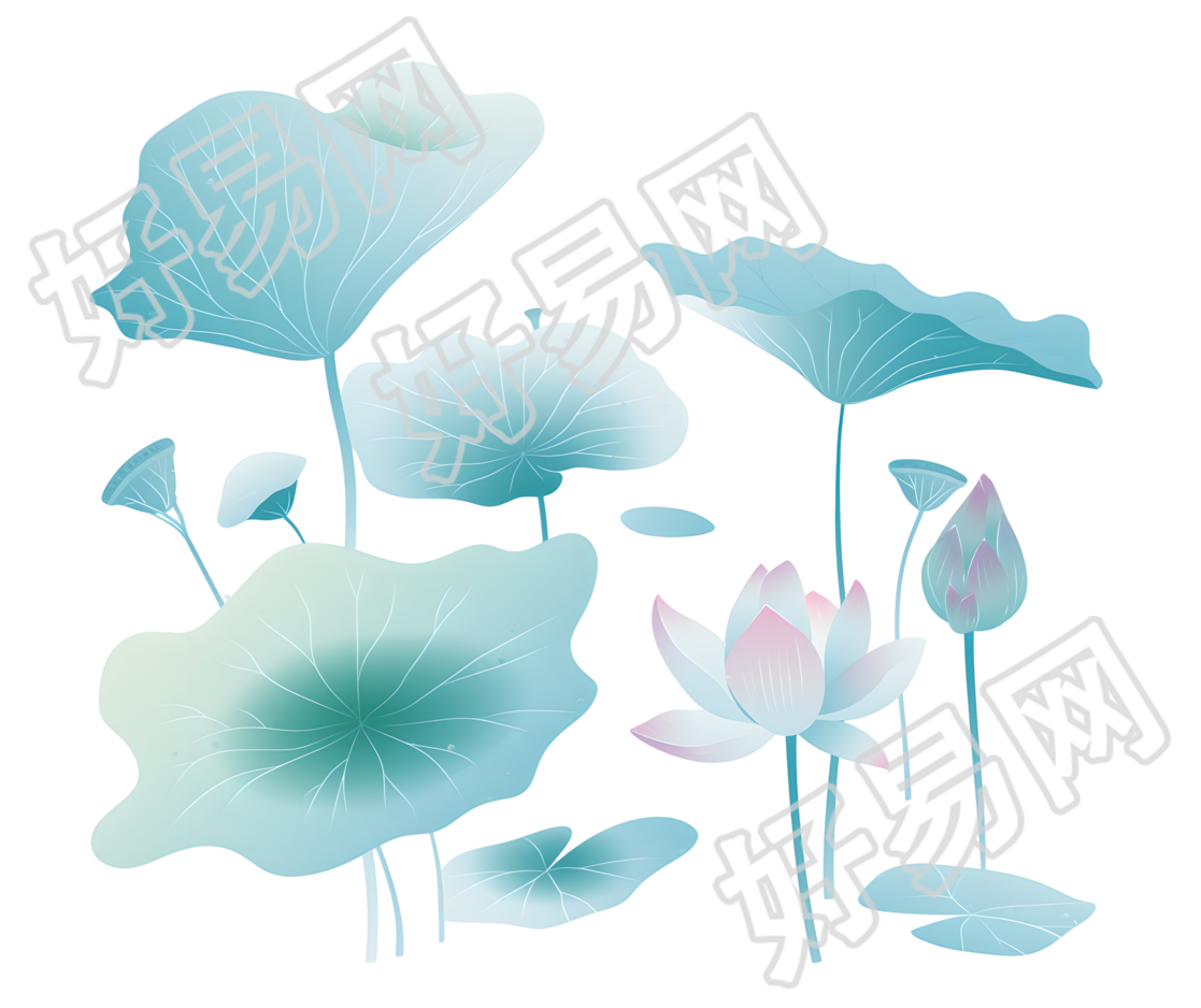 荷叶夏天清新插画